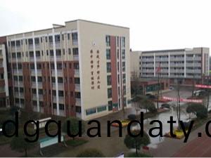 成都都江堰(yan)市(shi)育(yu)才(cai)學(xue)校(xiao)消防維(wei)保項目--國晉(jin)工程案例