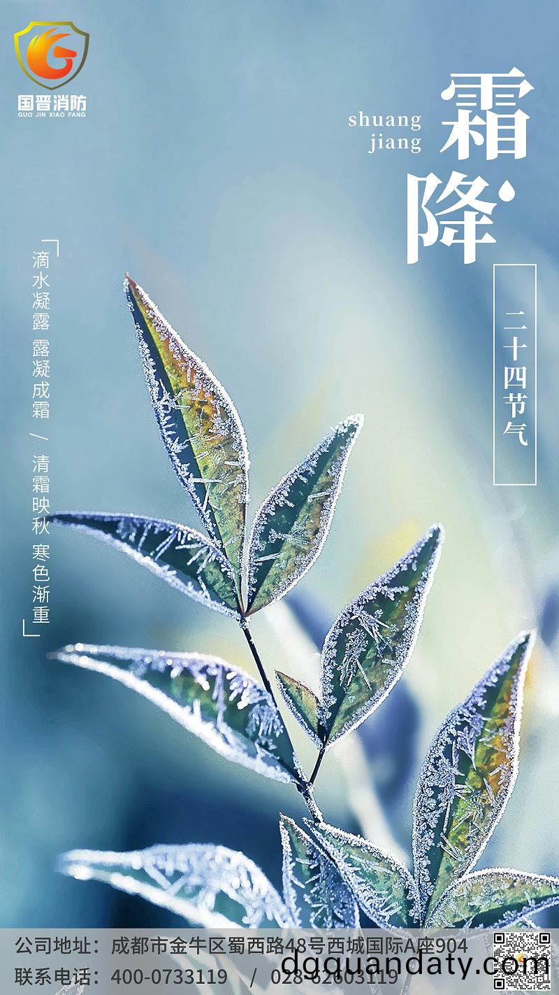 霜(shuang)降節(jie)氣(qi)祝福(fu)手(shou)機(ji)海(hai)報 (1)