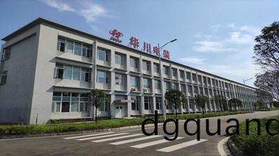 成都(dou)華川電裝有(you)限責任公司(si)消防(fang)設(she)施(shi)維護(hu)保養(yang)項(xiang)目--國(guo)晉維保(bao)案(an)例
