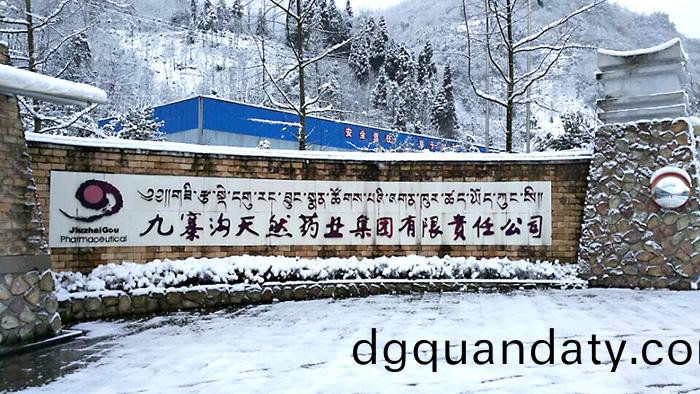 四(si)川(chuan)九(jiu)寨溝天(tian)然(ran)藥業(ye)生産(chan)項(xiang)目消(xiao)防(fang)維(wei)保項目 (1)-700
