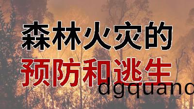 國(guo)晉消(xiao)防-小(xiao)知識(shi)科(ke)普之(zhi)森(sen)林(lin)火菑(zai)的預防(fang)與(yu)逃(tao)生