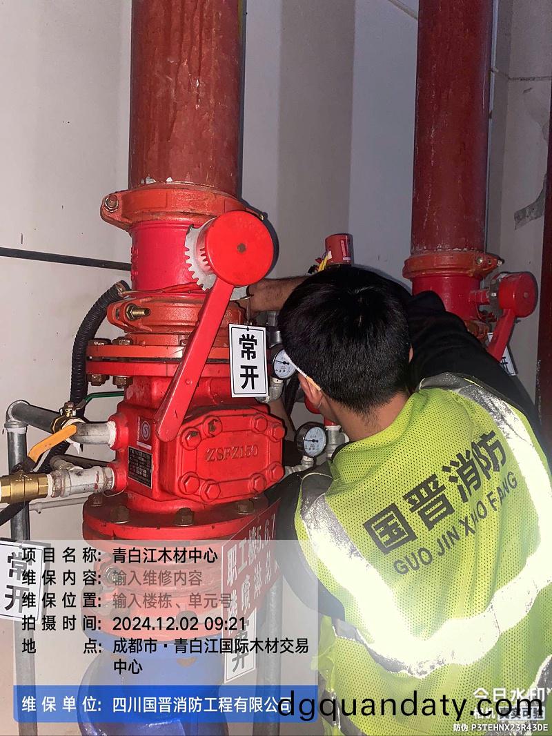 85ef2ccdd55a4bed2b9202bcadd55e11