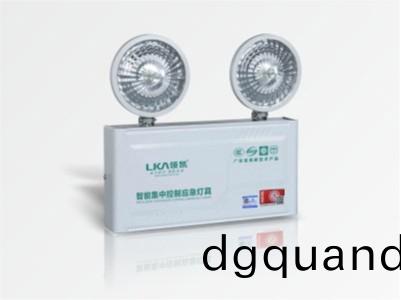 壁掛(gua)智能(neng)應(ying)急(ji)燈(deng)